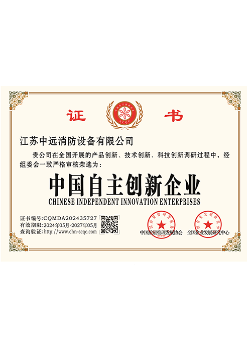 中国自主创新企业