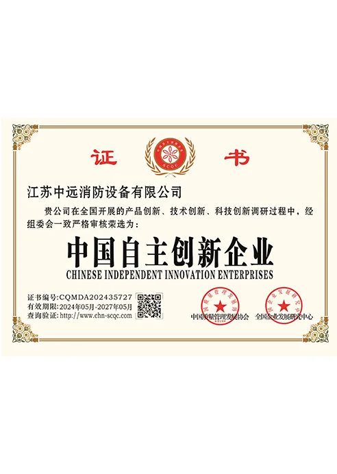 China's independent innovation enterprises